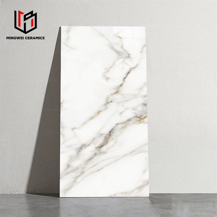 Γυαλισμένα πλακάκια δαπέδου πορσελάνης